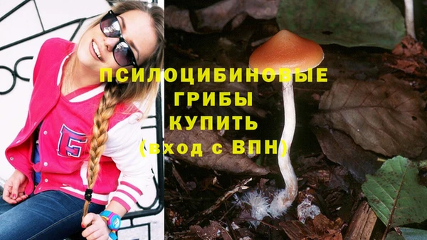 apvp Санкт-Петербург