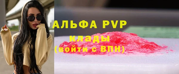 apvp Санкт-Петербург
