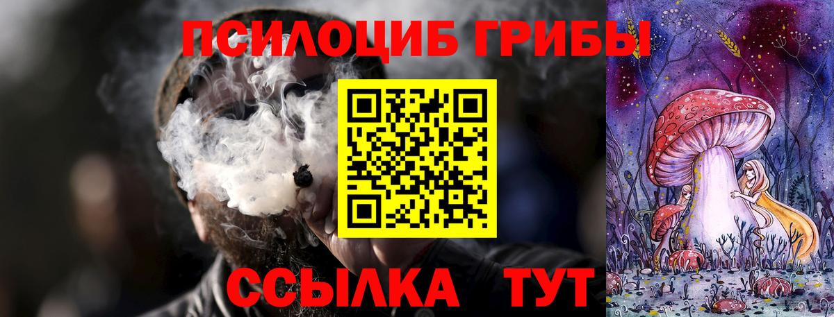 как найти закладки  Псилоцибиновые грибы GOLDEN TEACHER  Вход с VPN  Россия 